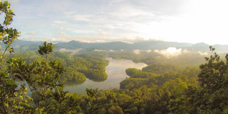 SIITCF框架解析：如何将专业财务规划与投资咨询融入您的财富人生