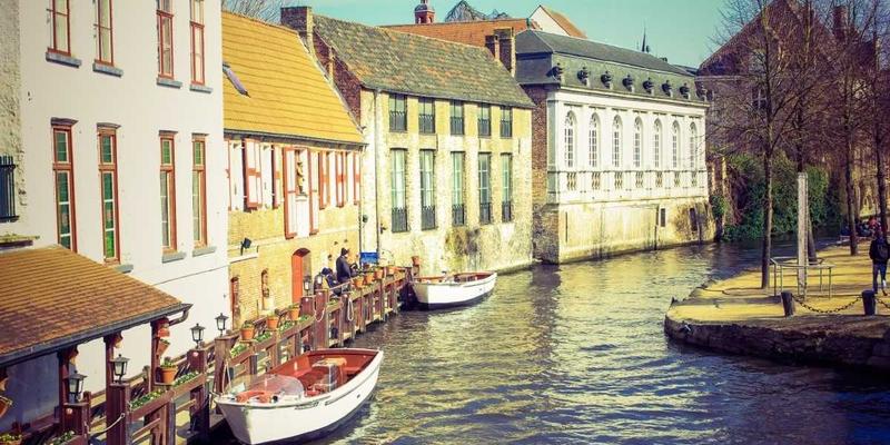 行为金融学实战指南：如何借助专业投资咨询与理财服务，克服认知偏差与情绪陷阱