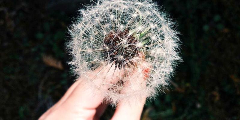金融投资100:从财务规划到投资咨询的全面指南