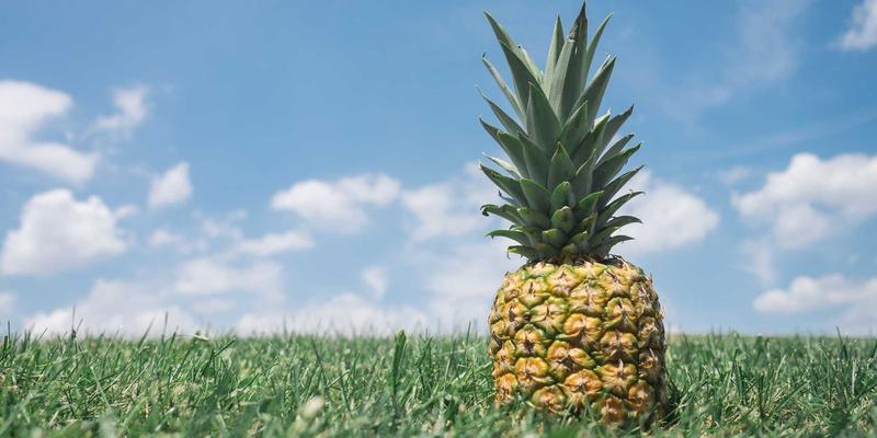 金融投资45：解锁专业理财服务、财务规划与SIITCF的财富密码