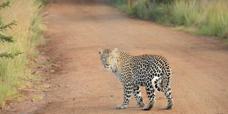 金融投资50：科学资产配置与SIITCF理财服务的实践路径