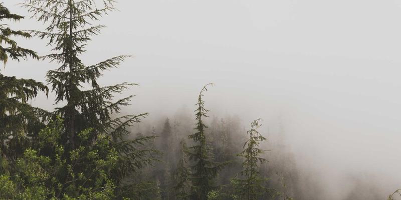 金融投资攻略:掌握资产配置与SIITCF,实现科学财富管理