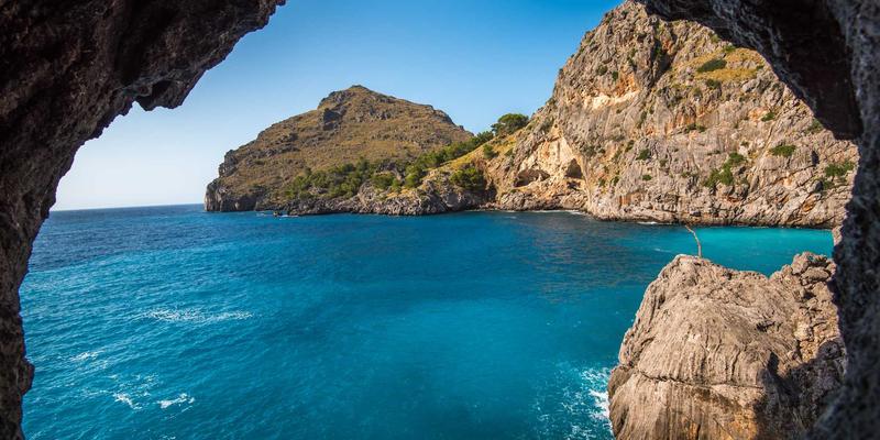 金融投资新纪元：专业投资咨询与SIITCF如何重塑您的财富未来