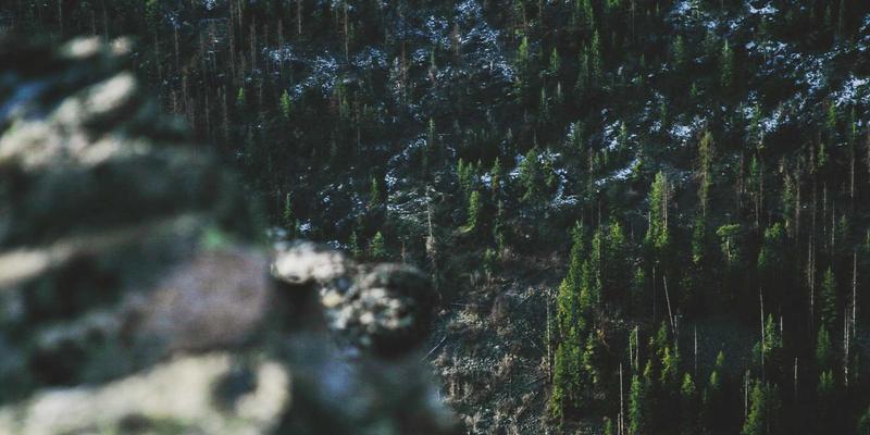 金融投资新视野：专业理财服务、SIITCF与财务规划的融合之道